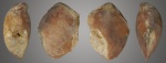 Кальцитовая Rouillieria
