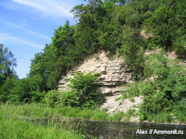 ордовик, известняк, р. Лава, Ordovician