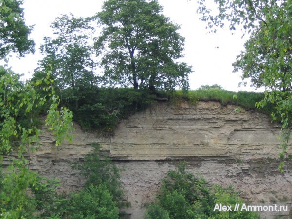 ордовик, известняк, р. Лава, Ordovician