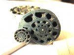 Erymnoceras doliforme разного размера