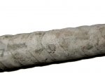 Эндоконы в ядре сифона Endoceras sp.