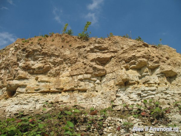 карбон, Гжель