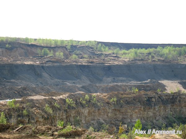 юра, Спартак, Jurassic