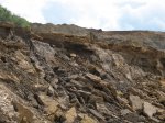 Нижнекелловейские слои в карьере "Спартак"