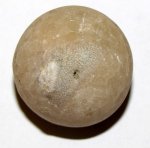 Цистоидея (Echinosphaerites) с отпечатком