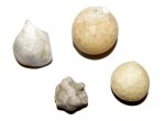 Цистоидеи Echinoencrinites и Echinosphaerites