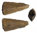 Двустворка Pinna ("псевдозуб")