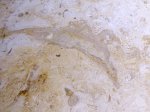 Нетания: King Solomon, фото 3