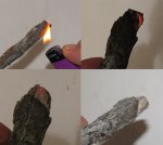 Поджигаем юрскую древесину