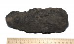 Юрская губка Sphenaulax sp.