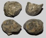 Корневой диск юрской морской лилии Cyclocrinus sp.