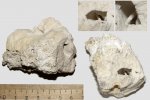 Chaetetes с подпоркой