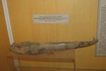 Челюсть Bentosuchus sushkini