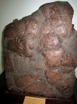 Следы Chirotherium