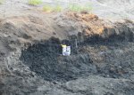 Еганово. Раскопки в зоне Kachpurites fulgens