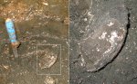Обломки макроконха и лопастная линия