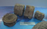 Позвонки ихтиозавра Paraophthalmosaurus