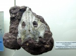 Wetlugasaurus samarensis