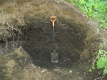 Зона fulgens в Мневниках