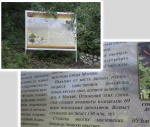 Коломенское 2009