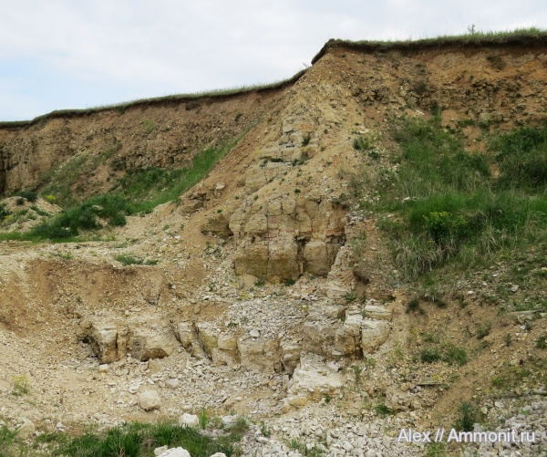 оксфорд, кимеридж, Бобровники, Bobrowniki, Kimmeridgian, Oxfordian, Upper Jurassic