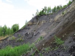 Городищи - "гипсовый цирк". Июнь 2015