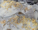 Нижнекарбоновый морской еж