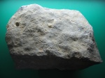 Находки из Нового Света (Крым)