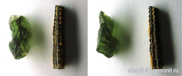белемниты, юрский период, астероиды, ростры, Jurassic, belemnites