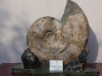 Калух 5