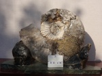 Калух 6