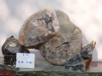 Калух 7