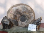 Калух 8