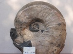 Калух 9