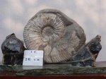 Калух 16