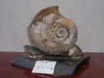 Калух 20