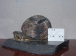 Калух 24