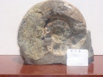 Калух 28