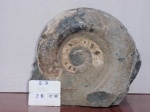 Калух 32