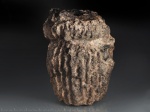 Губка Sphenaulax sp.