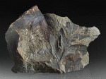 Флора мыса Старицкого