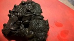 Конкреция с гастроподами Dicroloma cochleata