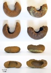 полубаранки (Craspedites)