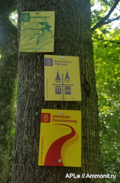 Золенгофен