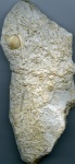 Микромир