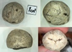 Hemicosmites