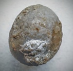 Echinosphaerites