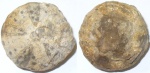 Морской еж Cidaroida sp. indet.