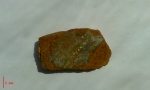 Кора кордаита