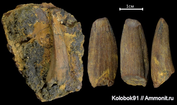 девон, рыбы, Sarcopterygii, Holoptychius